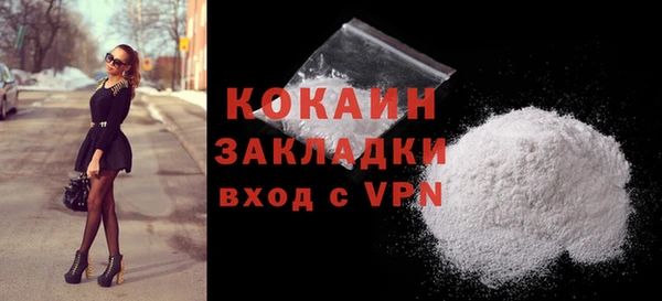 шишки Беломорск