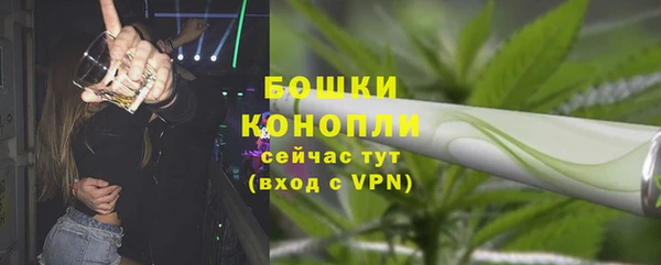гашик Семилуки