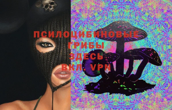 2c-b Семёнов
