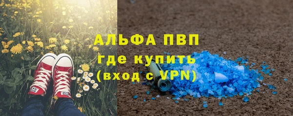 шишки Беломорск