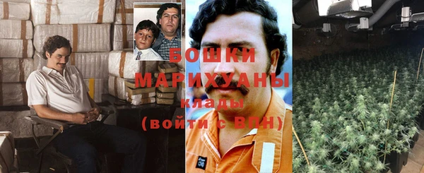 шишки Беломорск