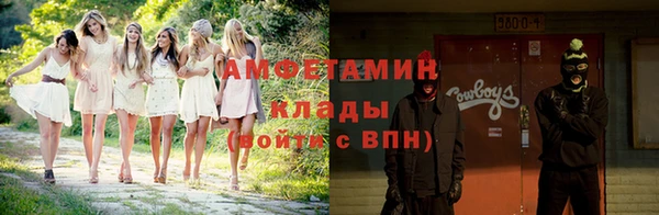 гашик Семилуки