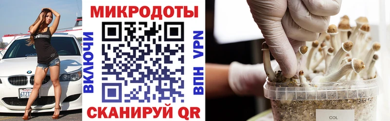 Галлюциногенные грибы Psilocybine cubensis  Ворсма 